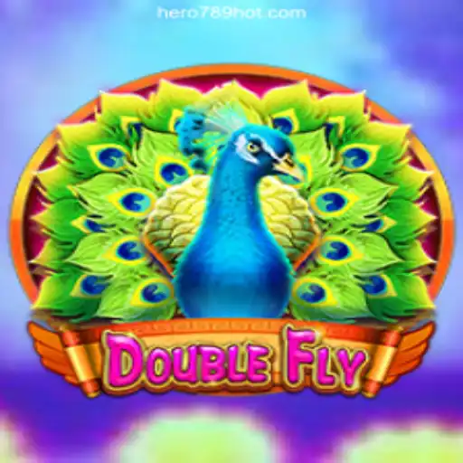 Discover the Thrills of DoubleFly: A Dynamic Casino Experience